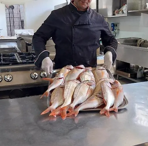 Hotel Saraceno Vibo Valentia Marina