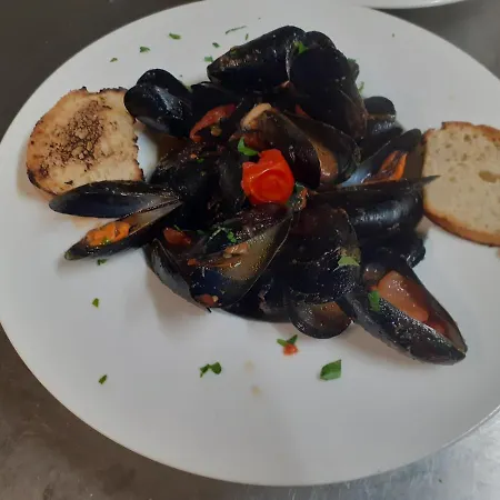 Saraceno 维博瓦伦蒂亚码头