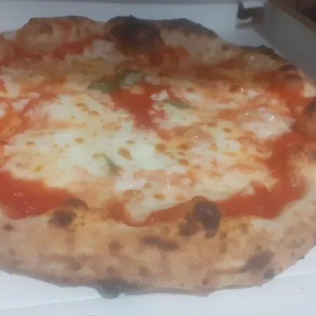 酒店 Saraceno 维博瓦伦蒂亚码头