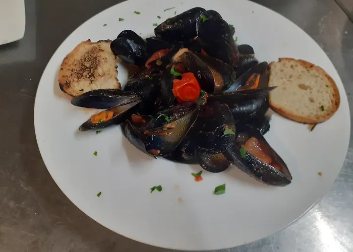 Saraceno 维博瓦伦蒂亚码头